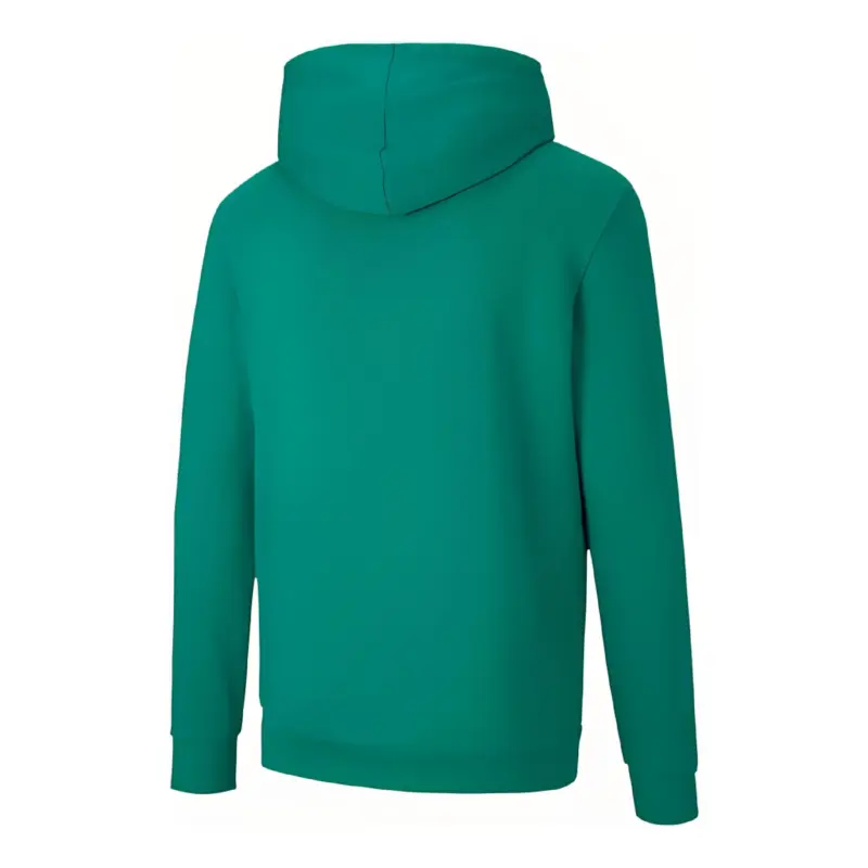 PUMA Teamgoal 23 Causals Hoody Pull Homme,Pepper Vert,S