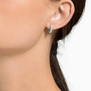 Swarovski Women's Stone Collection Earrings