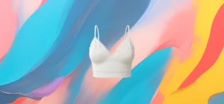 The 25X Luna Lace Crop Bralette 1 The 25X Luna Lace Crop Bralette
