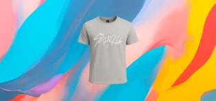1000027485 The25x Stray Kids Classic T-shirt grey