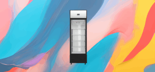 The 25x Commercial Air-Cooled Display Freezer Refrigerator