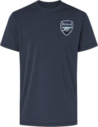 61gCSEYvmTL._AC_SL1500_.jpg Arsenal F.C. T-shirt gris pour homme – Arsenal officiel Arsenal Football Poly Top