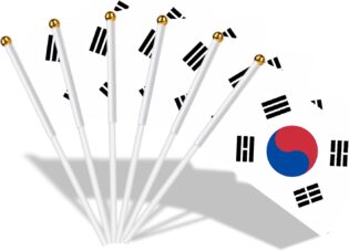 51HXUHvRXBL._AC_SL1500_.jpg AhfuLife Petit Drapeau Corée du Sud - 15Pcs Mini Drapeaux Coréen avec Poteau Solide Blanc de 30cm pour Décoration Jardin Bar, Coupe du Monde, Célébration Fête Nationale