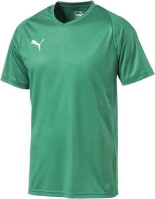 PUMA Liga Jersey Core Maillot Homme (lot de 1)