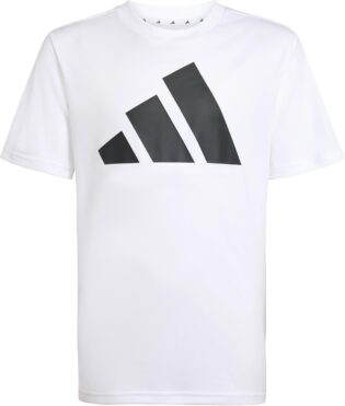 51f9VmULUL._AC_SL1500_.jpg adidas Train Essentials Big Logo T-Shirt Mixte Enfant