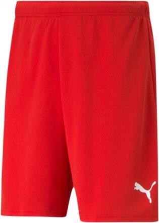 Puma Liga Shorts Core with Brief Slip-Men-Purple
