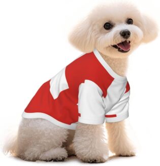 61AoO6i7KYL._AC_SL1500_.jpg T-shirt pour chien et chat avec drapeau suisse - Respirant et doux - Taille M