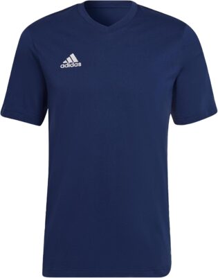 61PcF2LSqJL._AC_SL1500_.jpg Adidas Homme Entrada 22 Tee