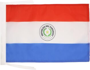 61dSzxUIISL._AC_SL1500_.jpg AZ FLAG - Drapeau Paraguay - 45x30 cm - Pavillon Paraguayen 100% Polyester Avec Deux Cordelettes - 20g